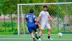 One Piece FC